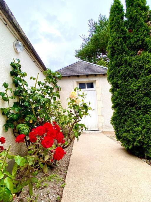 Demeure St Martin Villa Vierzon Exterior foto